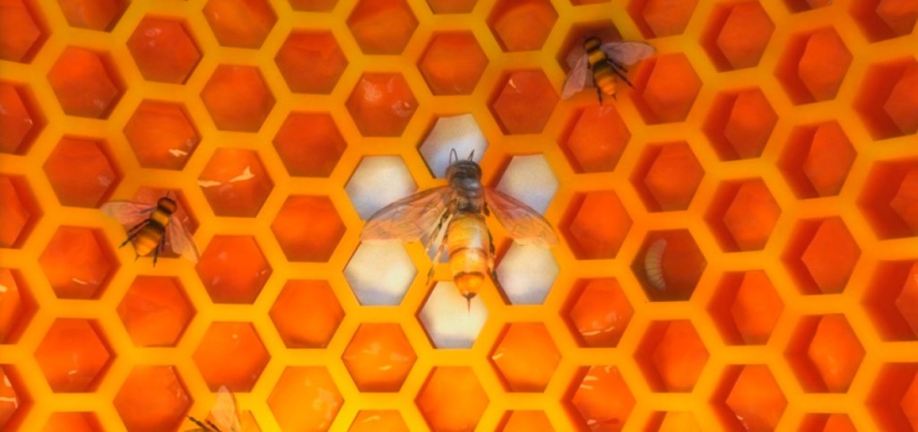 Laptisor de matca – supliment natural pentru toata&nbsp;familia