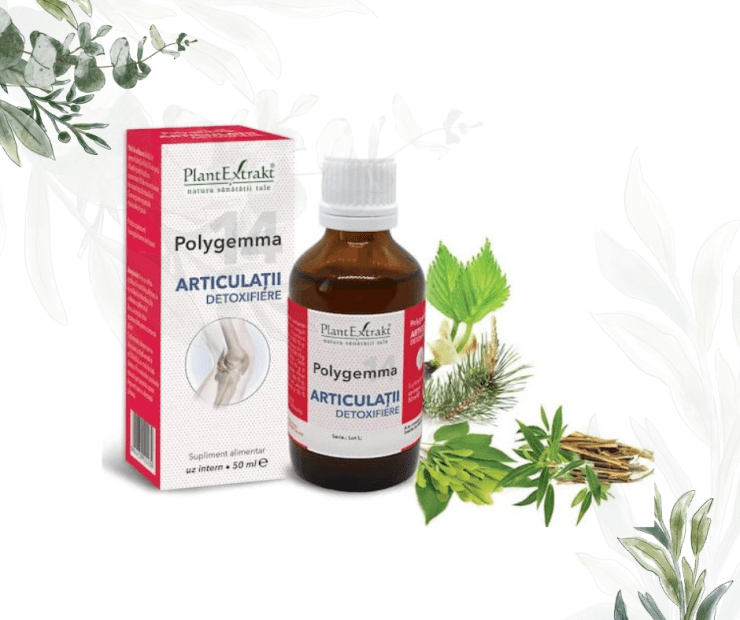 plante pentru articulatii